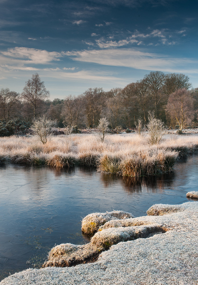 Winter Frosty Morning, Furzley Common 1